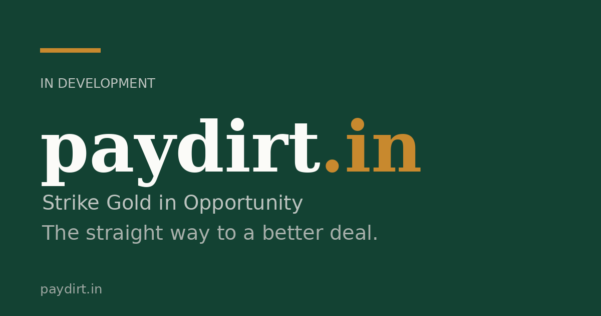 Link preview image for paydirt.in
